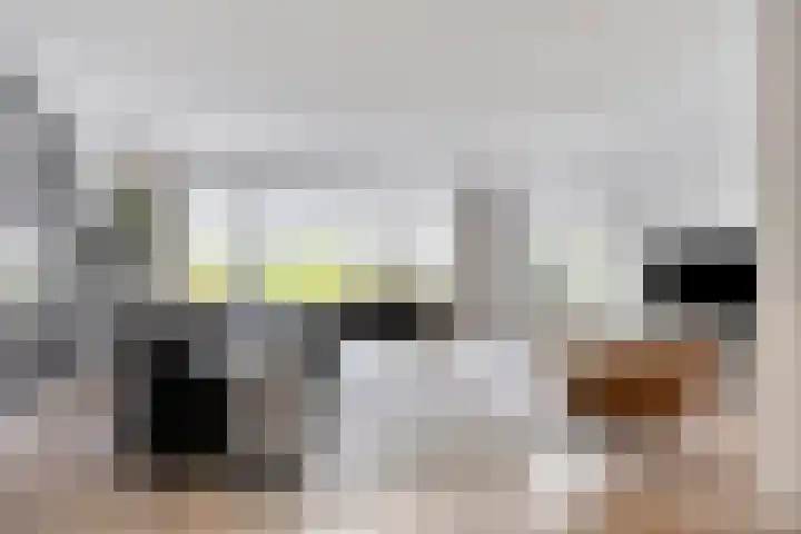 Spinnerijlaan 8 Berkel-Enschot thumbnail 4