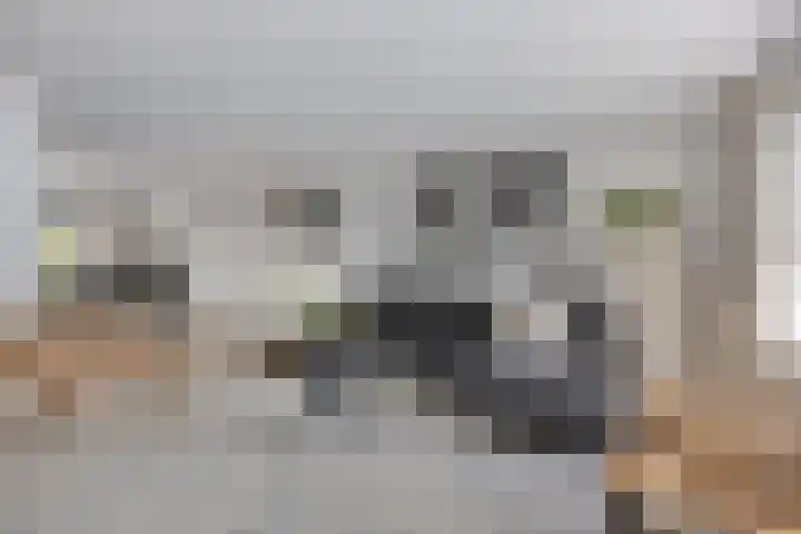 Spinnerijlaan 8 Berkel-Enschot thumbnail 5