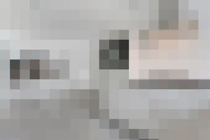 Spinnerijstraat 14 Slagharen thumbnail 10
