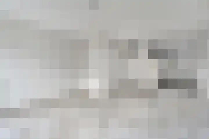 Spinnerijstraat 14 Slagharen thumbnail 11