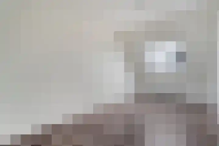 Spinnerijstraat 14 Slagharen thumbnail 21