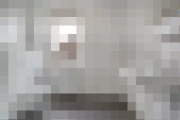 Spinnerijstraat 14 Slagharen thumbnail 26