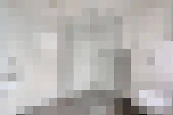 Spinnerijstraat 14 Slagharen thumbnail 27