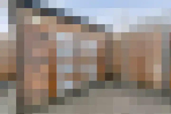 Spinnerijstraat 14 Slagharen thumbnail 36