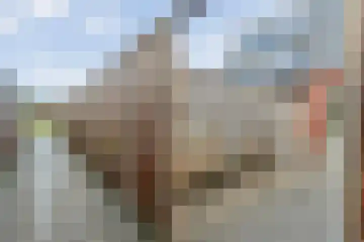 Spinnerijstraat 14 Slagharen thumbnail 37