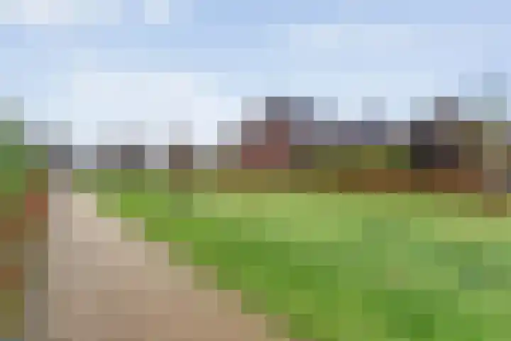 Spinnerijstraat 14 Slagharen thumbnail 38