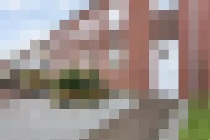 Spinnerijstraat 14 Slagharen thumbnail 40