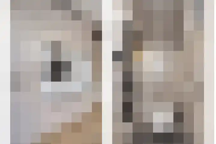 Spinnerijstraat 3 Goirle thumbnail 14