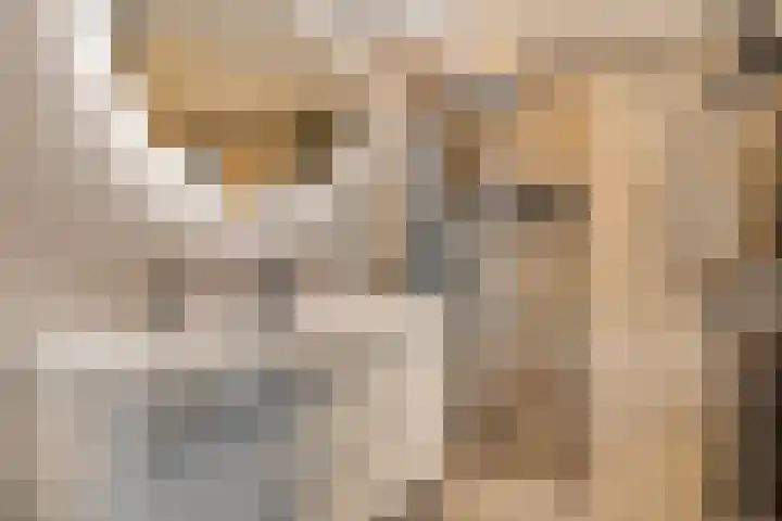 Spinnerijstraat 3 Goirle thumbnail 15