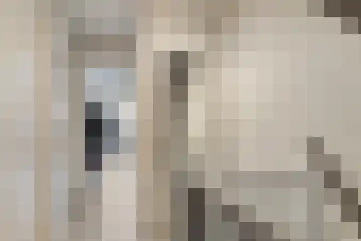 Spinnerijstraat 3 Goirle thumbnail 17