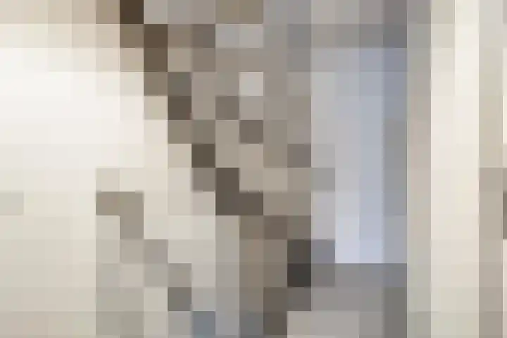Spinnerijstraat 3 Goirle thumbnail 19