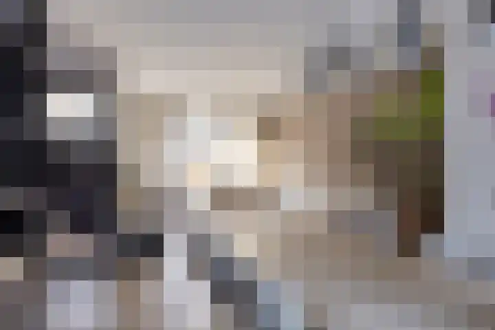 Spinnerijstraat 3 Goirle thumbnail 5