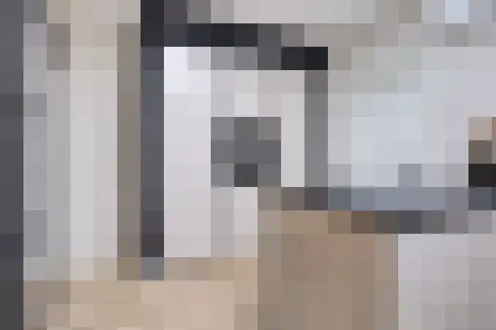 Spinnerijstraat 3 Goirle thumbnail 8