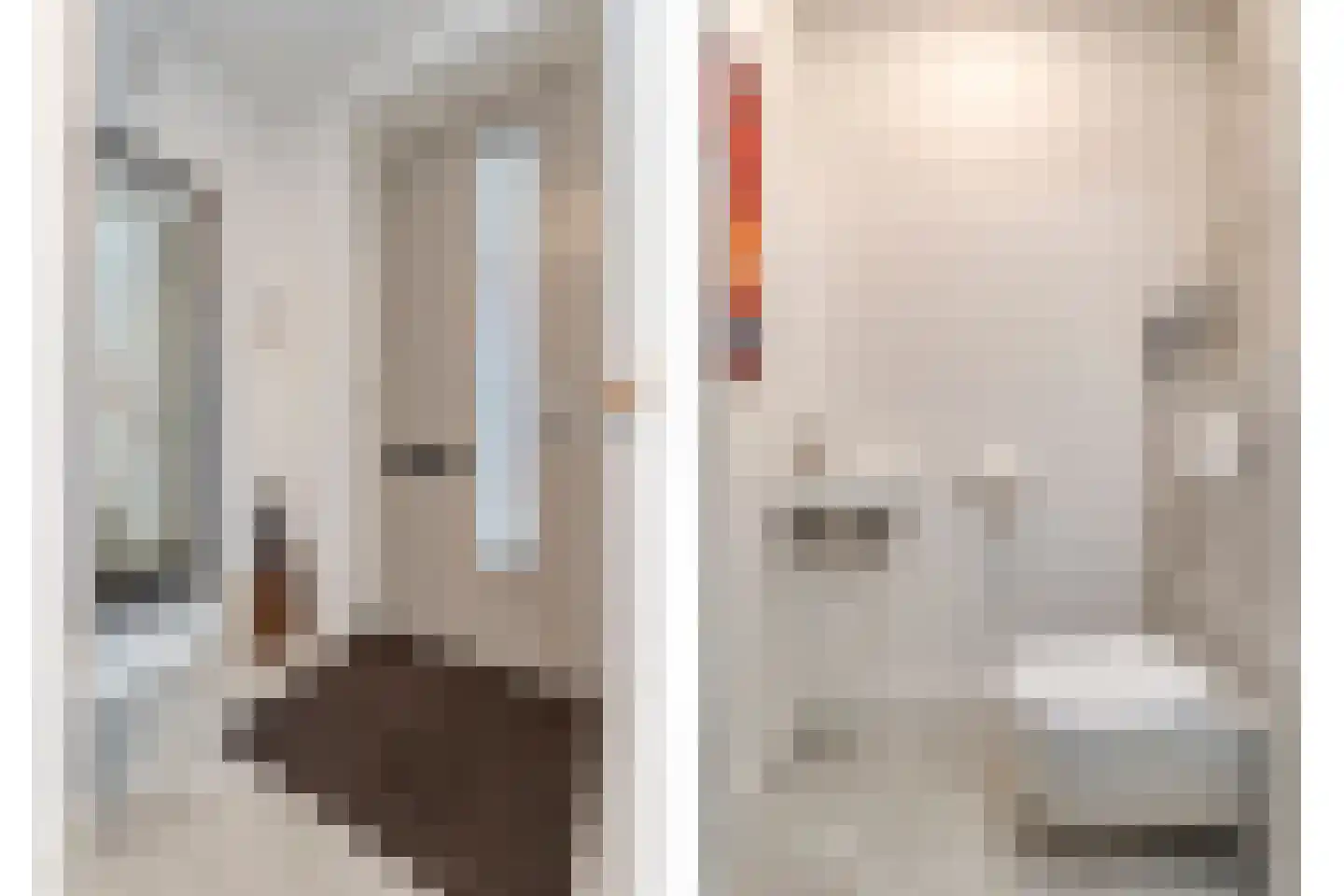 Spinnerijstraat 5 Slagharen thumbnail 18
