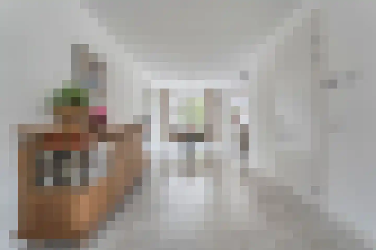 Spinnerijstraat 5 Slagharen thumbnail 25