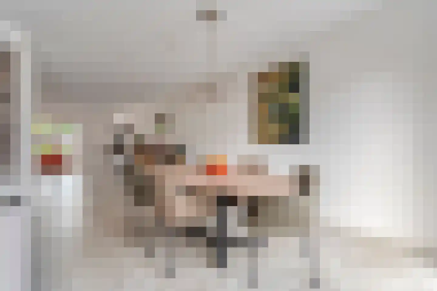 Spinnerijstraat 5 Slagharen thumbnail 26