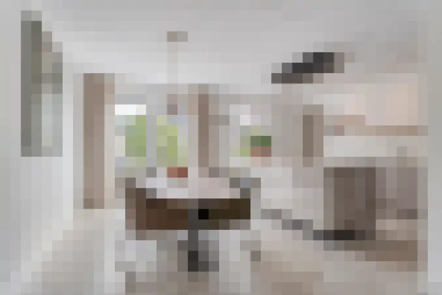 Spinnerijstraat 5 Slagharen thumbnail 27