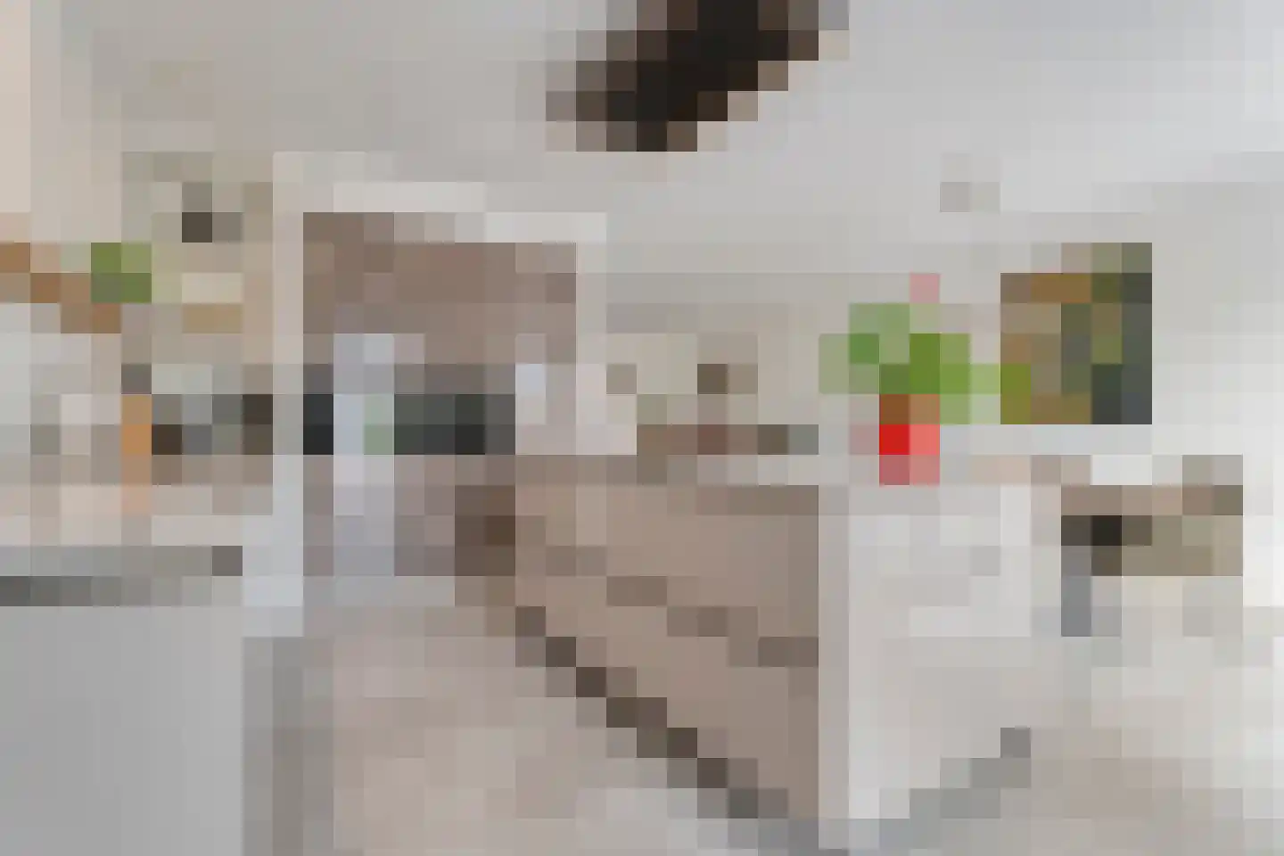 Spinnerijstraat 5 Slagharen thumbnail 32