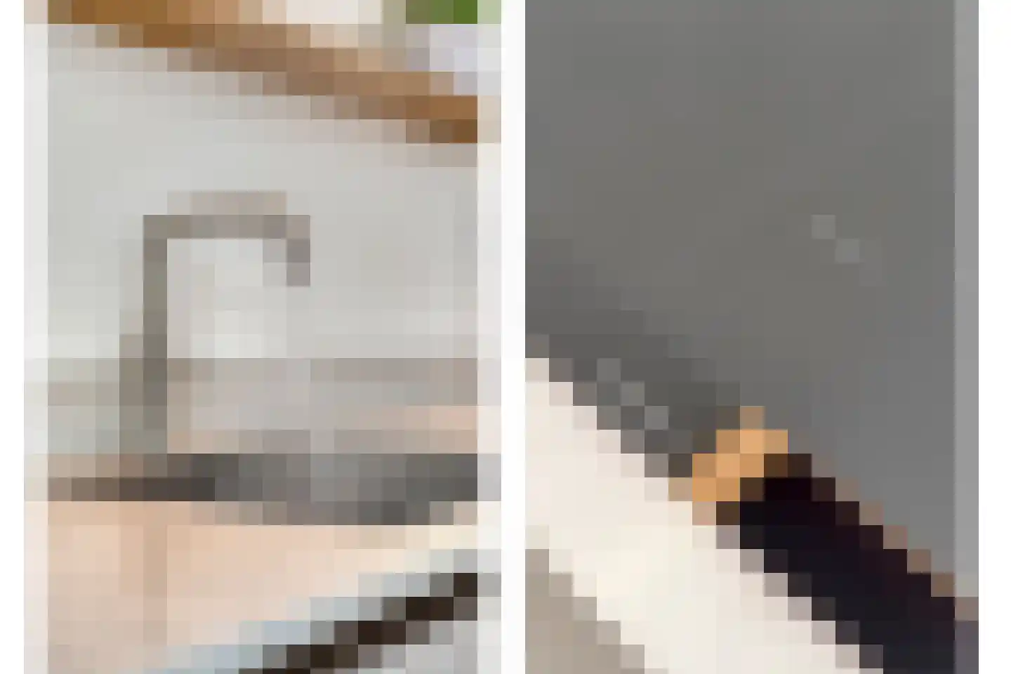 Spinnerijstraat 5 Slagharen thumbnail 33