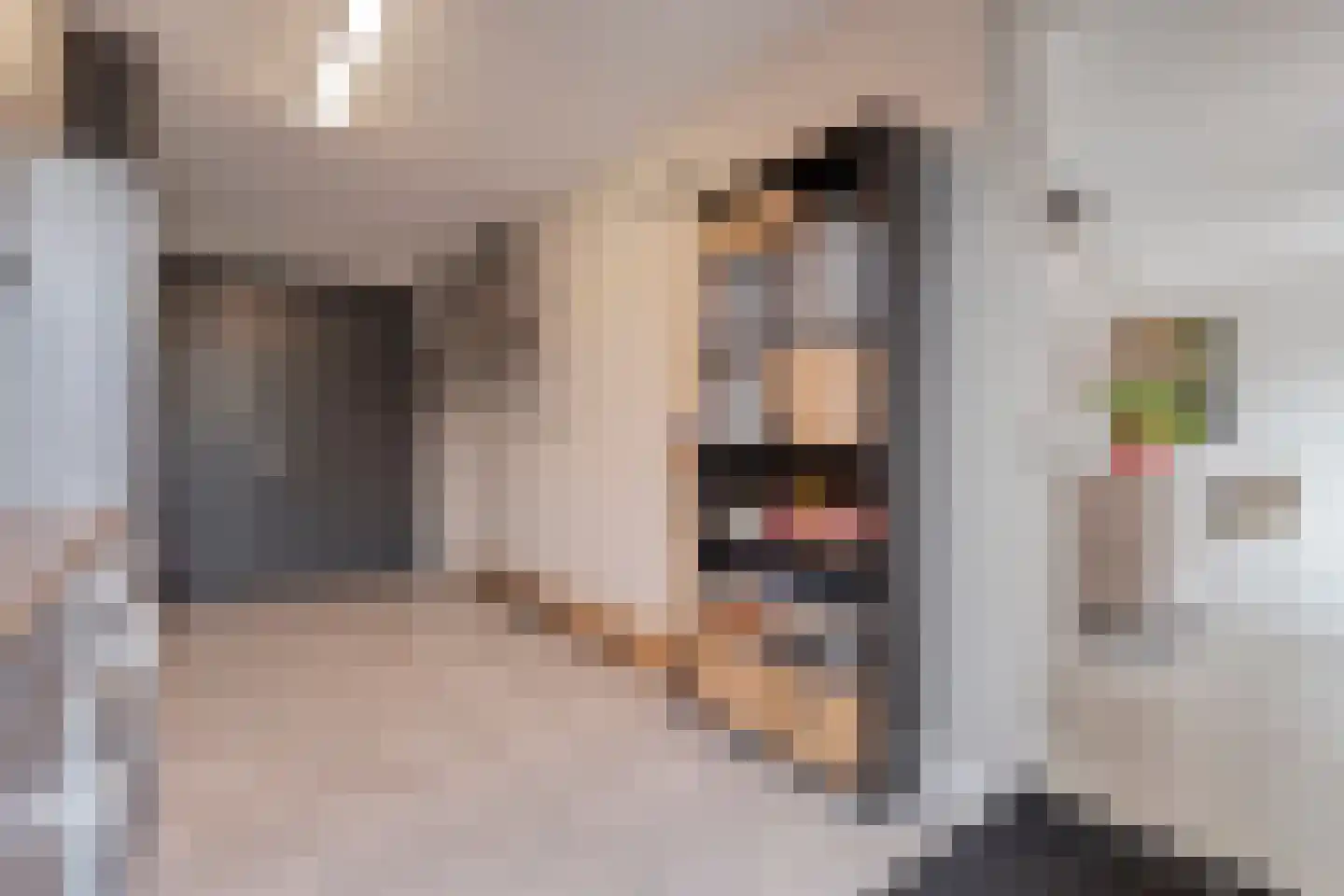 Spinnerijstraat 5 Slagharen thumbnail 36