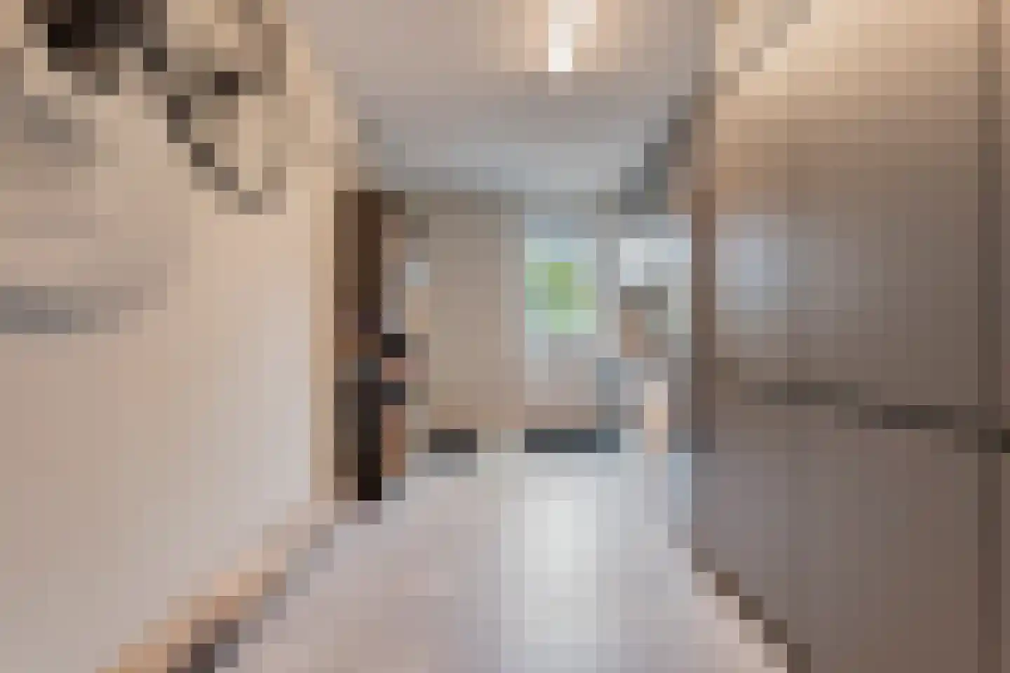Spinnerijstraat 5 Slagharen thumbnail 38