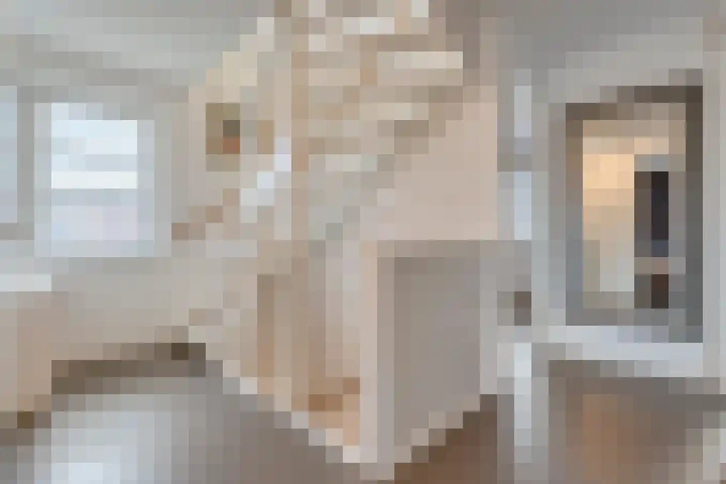 Spinnerijstraat 5 Slagharen thumbnail 39