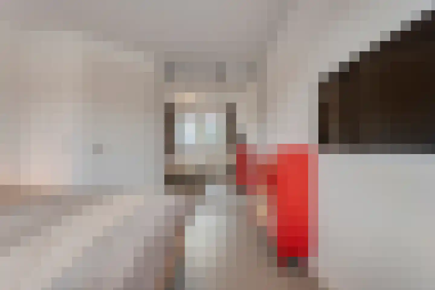 Spinnerijstraat 5 Slagharen thumbnail 43