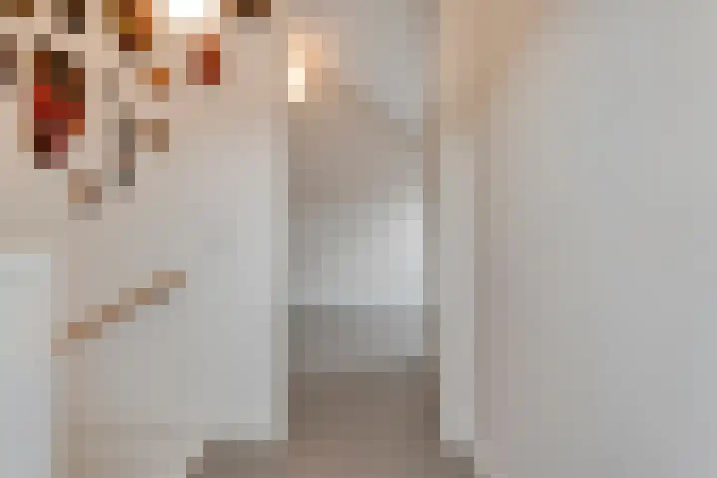 Spinnerijstraat 5 Slagharen thumbnail 54