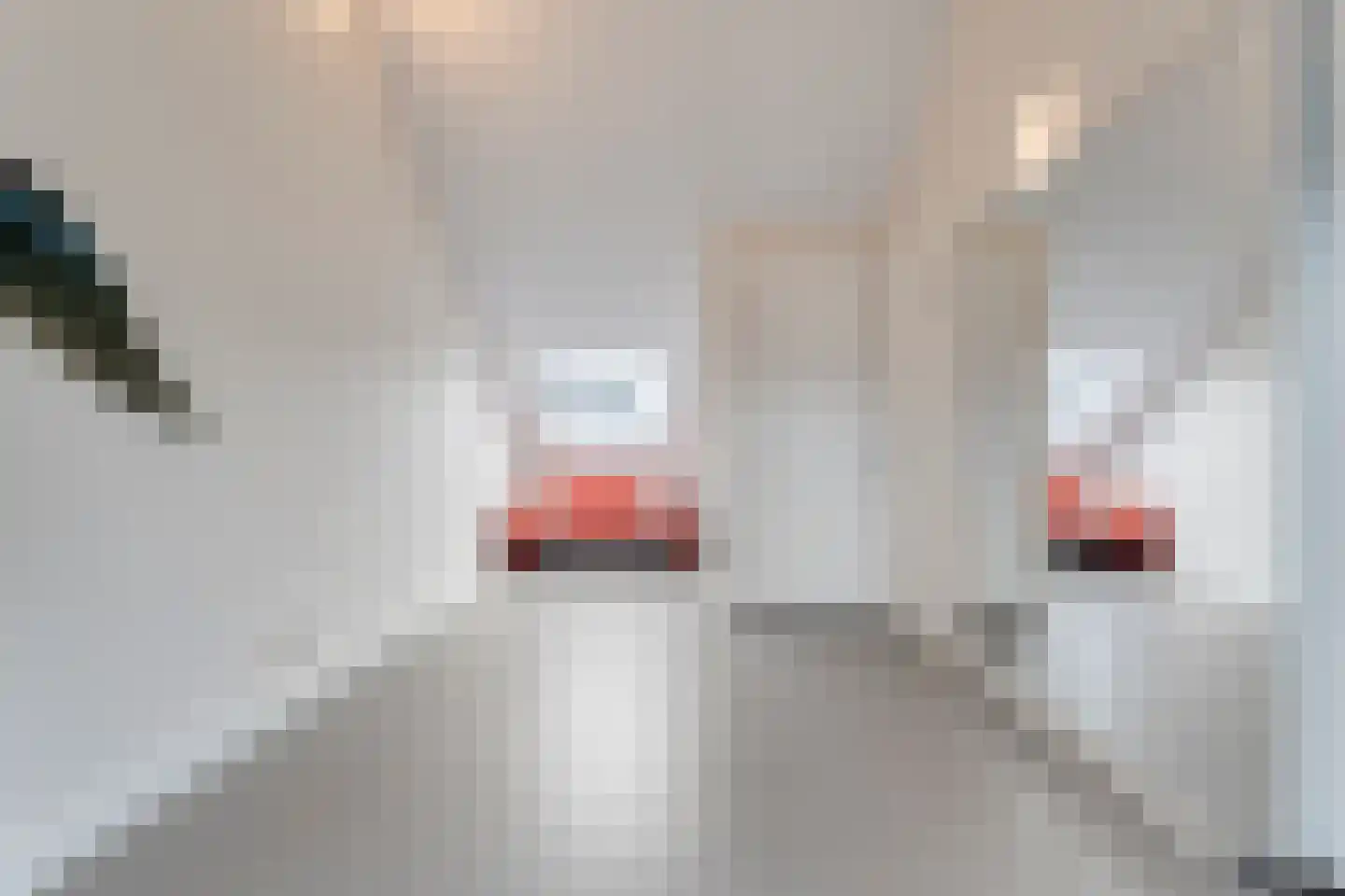 Spinnerijstraat 5 Slagharen thumbnail 56