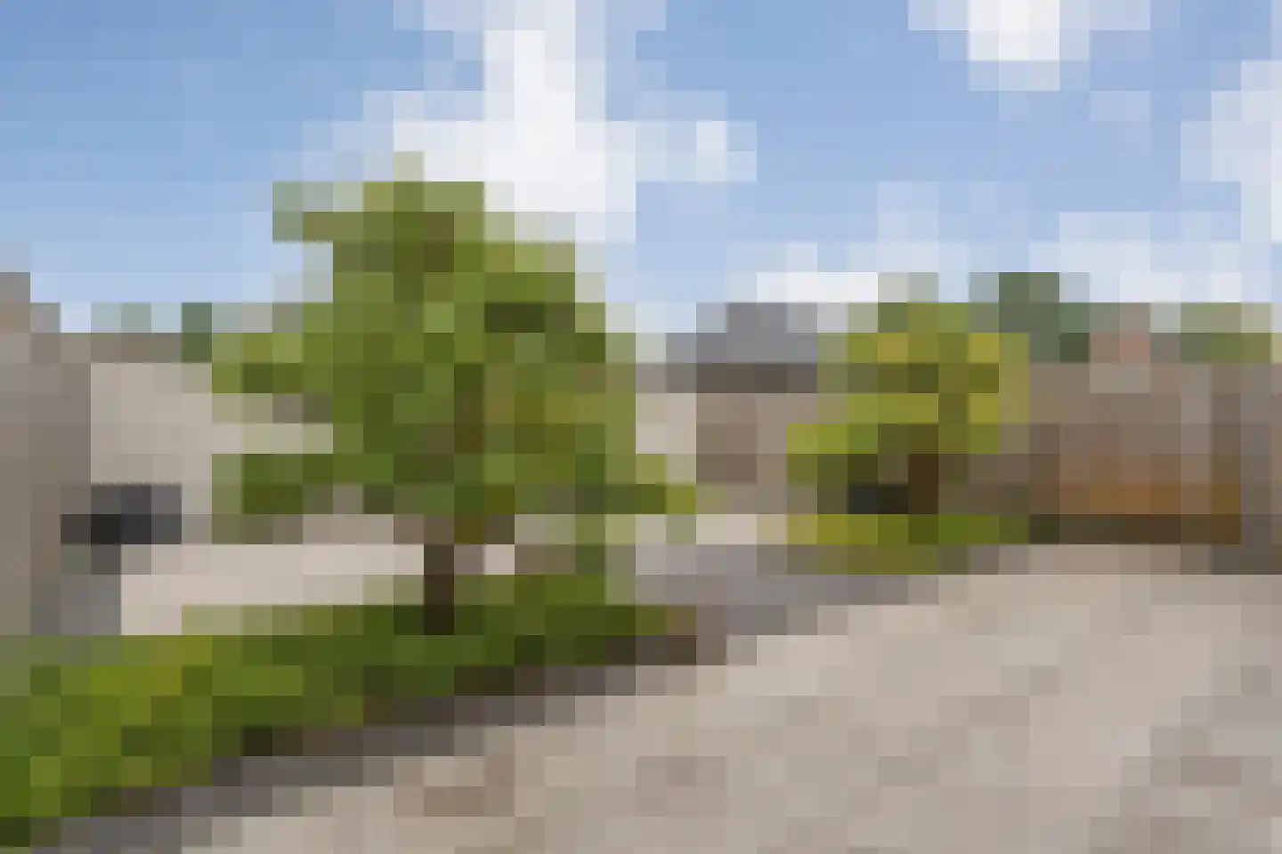 Spinnerijstraat 5 Slagharen thumbnail 62