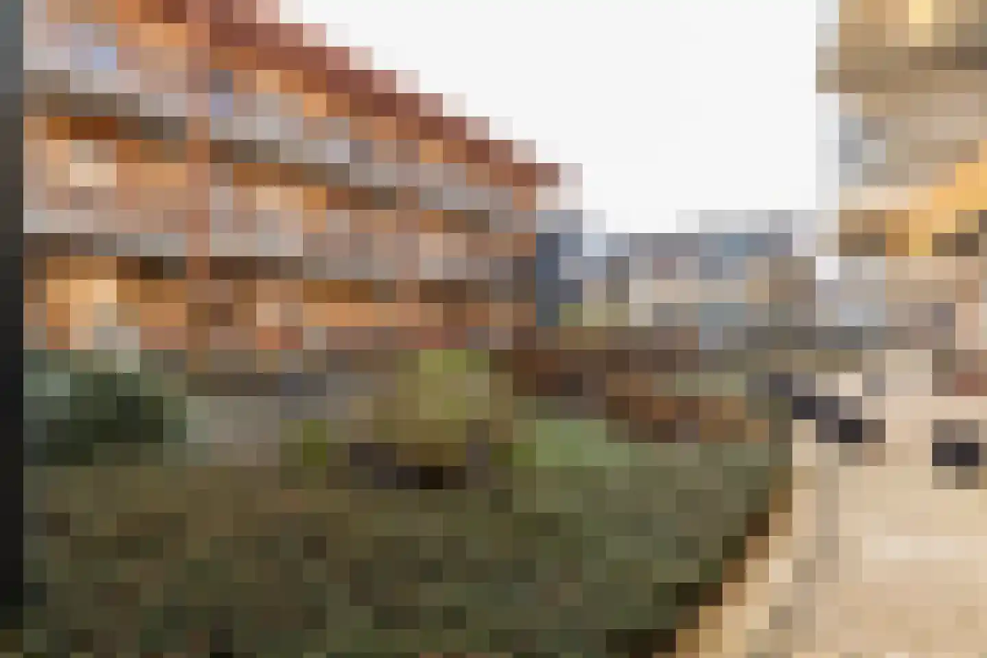 Spinnerijstraat 65 's-Gravendeel thumbnail 22