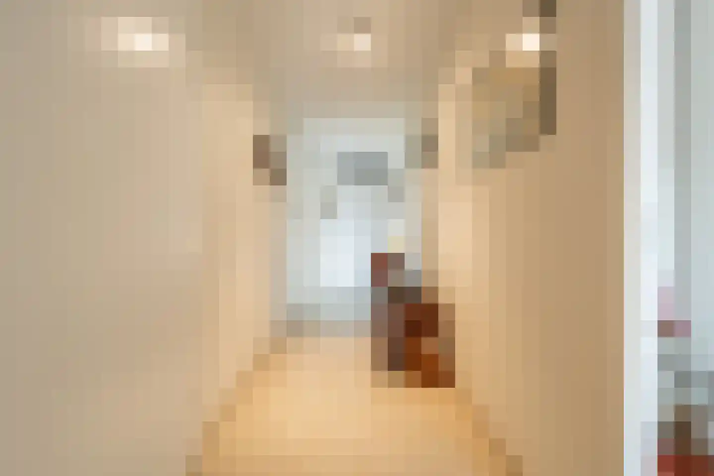 Spinnerijstraat 99 's-Gravendeel thumbnail 37