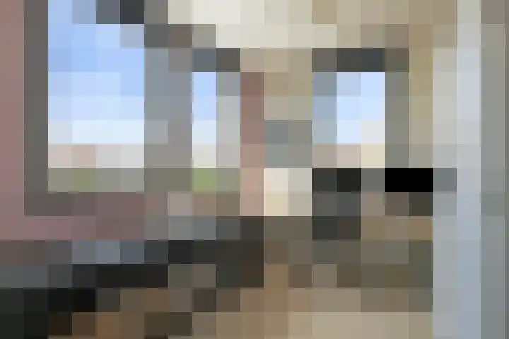 Spinnerpad 11 Rosmalen thumbnail 17