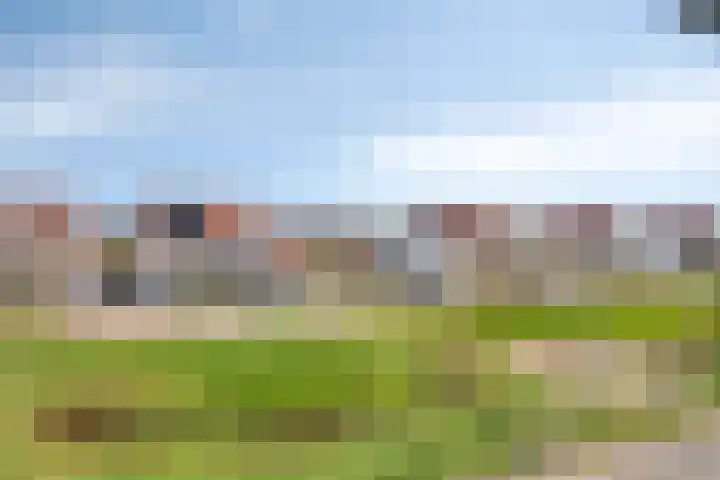 Spinnerpad 11 Rosmalen thumbnail 30