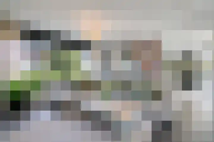 Spinnerpad 11 Rosmalen thumbnail 5
