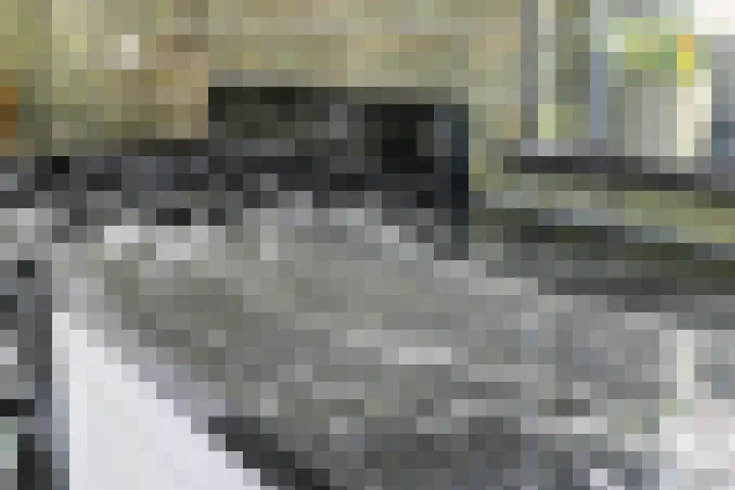 Spinnerpad 11 Rosmalen thumbnail 8