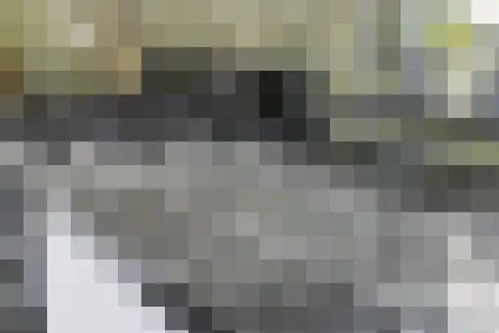 Spinnerpad 11 Rosmalen thumbnail 8