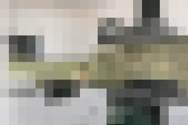 Spinnerpad 11 Rosmalen thumbnail 9