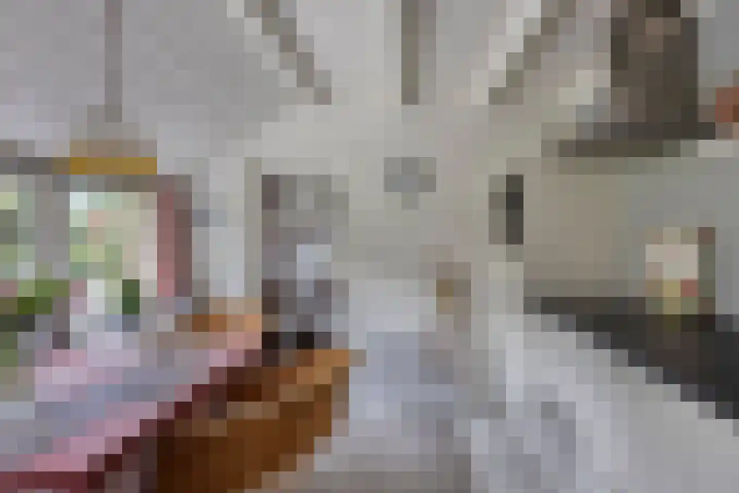 Spinnerslaan 4 Paasloo thumbnail 10