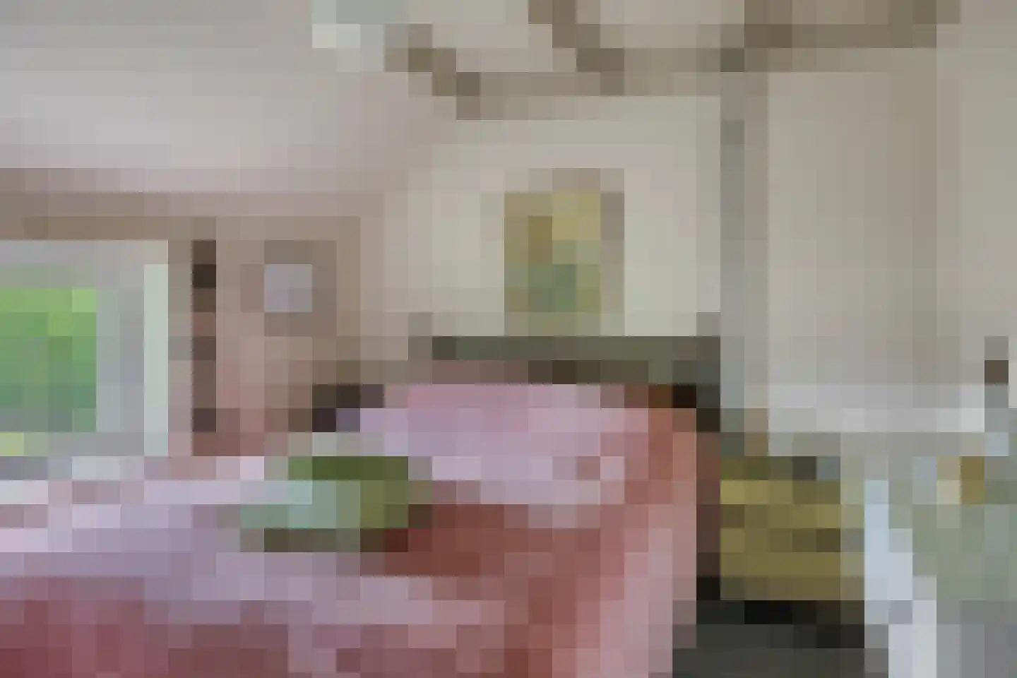 Spinnerslaan 4 Paasloo thumbnail 14