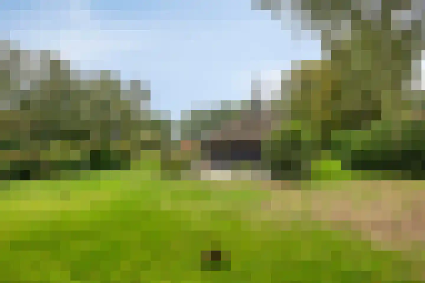 Spinnerslaan 4 Paasloo thumbnail 17
