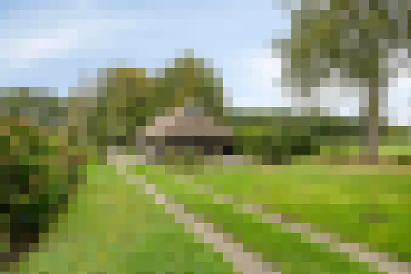 Spinnerslaan 4 Paasloo thumbnail 20
