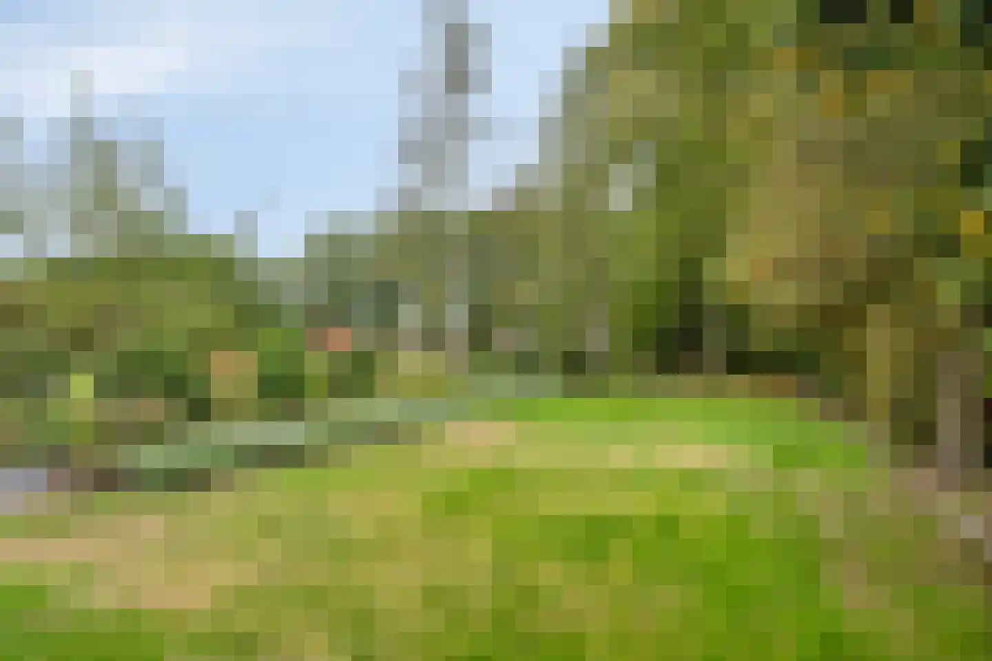 Spinnerslaan 4 Paasloo thumbnail 23