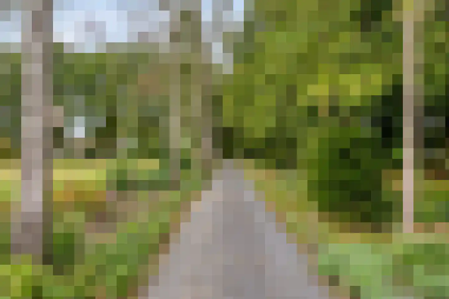 Spinnerslaan 4 Paasloo thumbnail 25