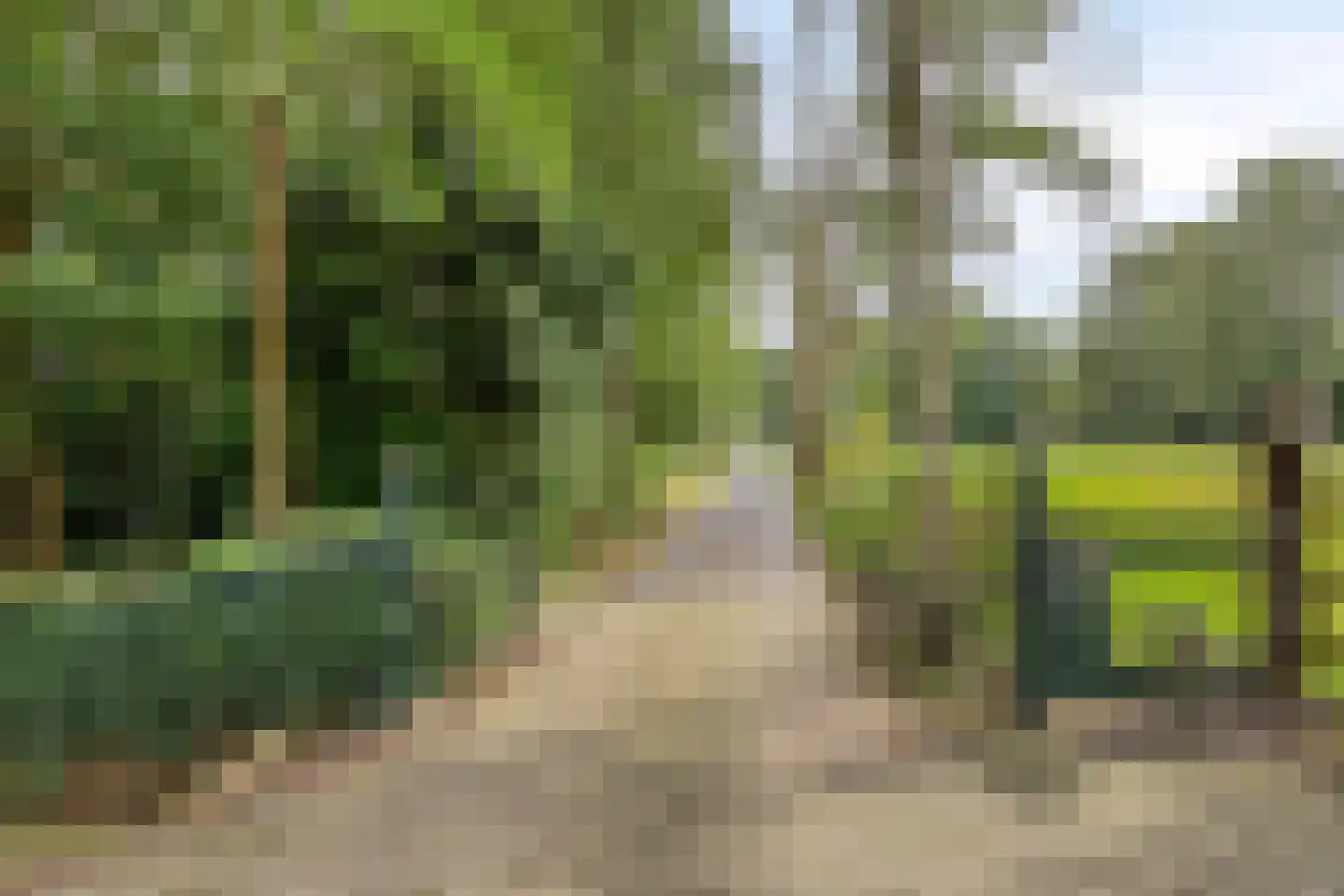 Spinnerslaan 4 Paasloo thumbnail 26