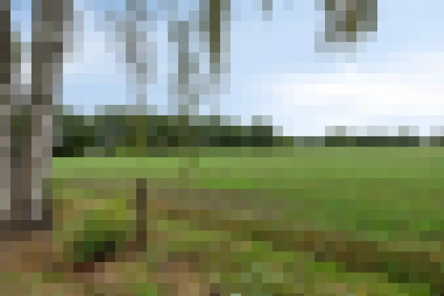 Spinnerslaan 4 Paasloo thumbnail 28