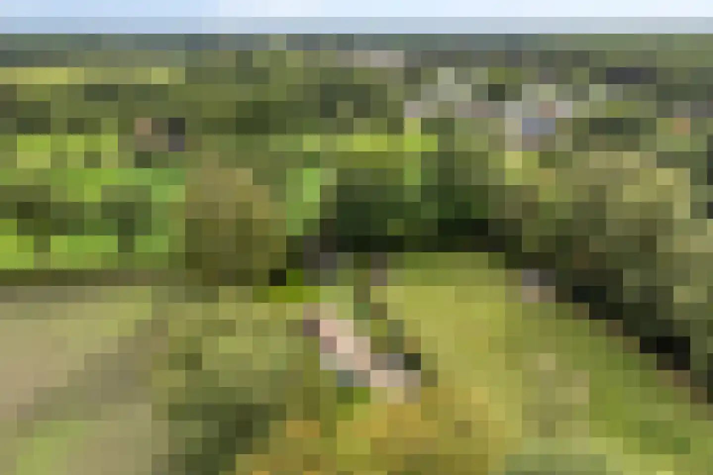 Spinnerslaan 4 Paasloo thumbnail 30