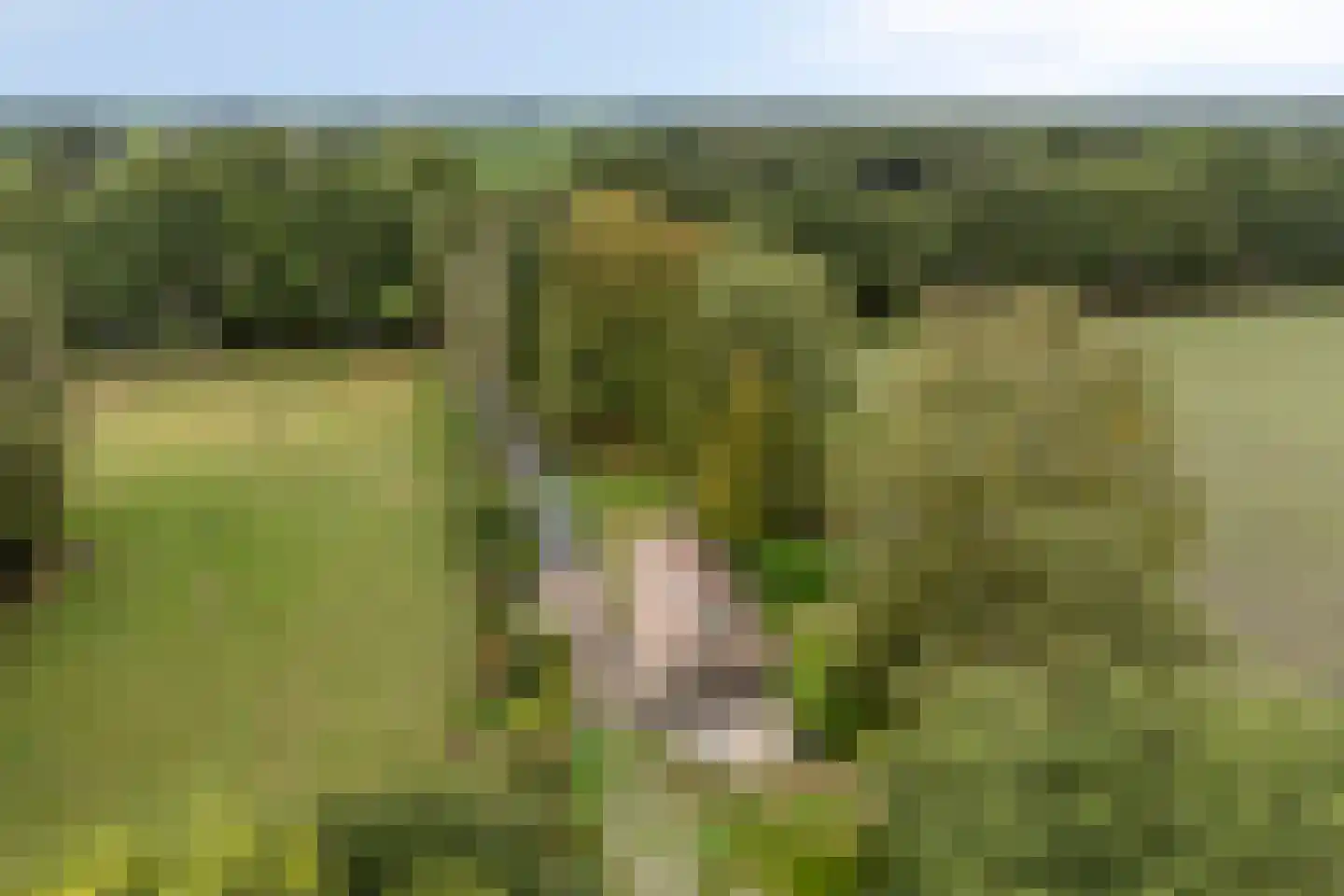 Spinnerslaan 4 Paasloo thumbnail 31