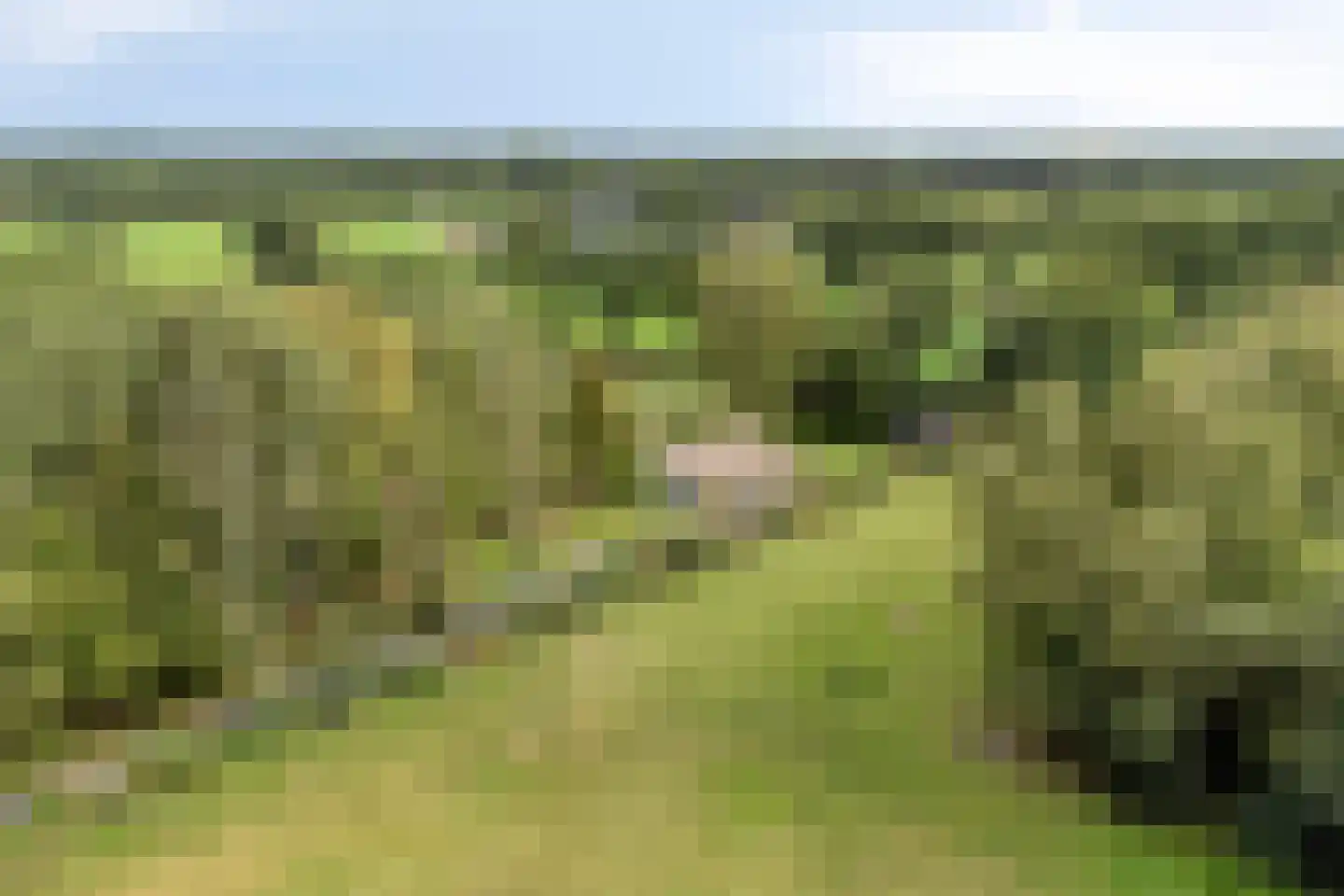 Spinnerslaan 4 Paasloo thumbnail 32