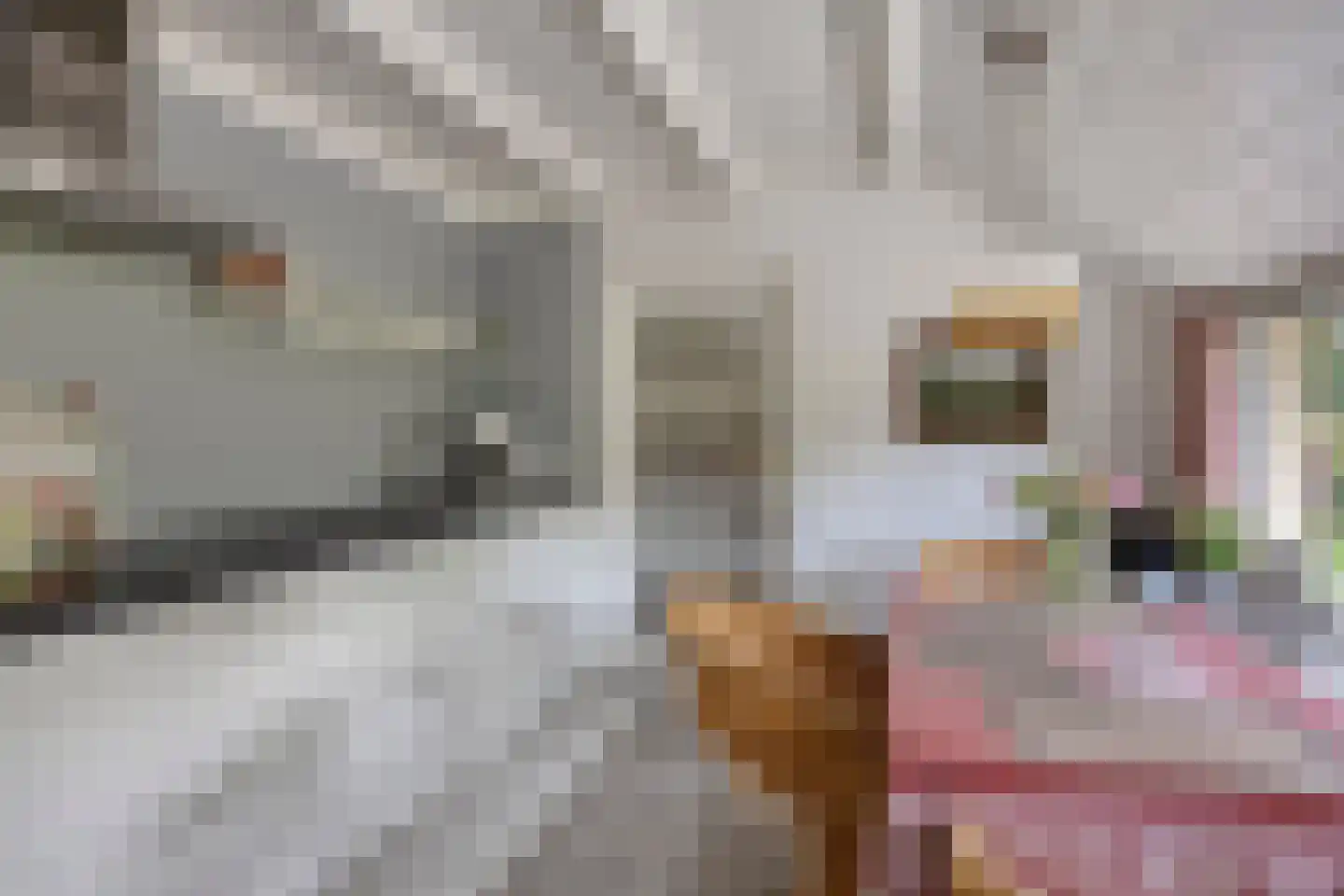 Spinnerslaan 4 Paasloo thumbnail 7